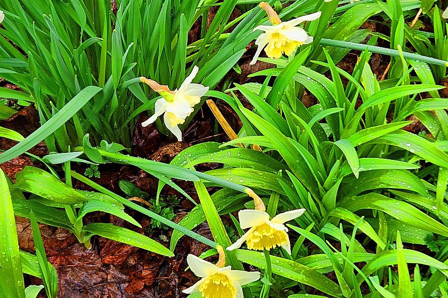 3161 W 6th Avenue Vancouver, BC - 26