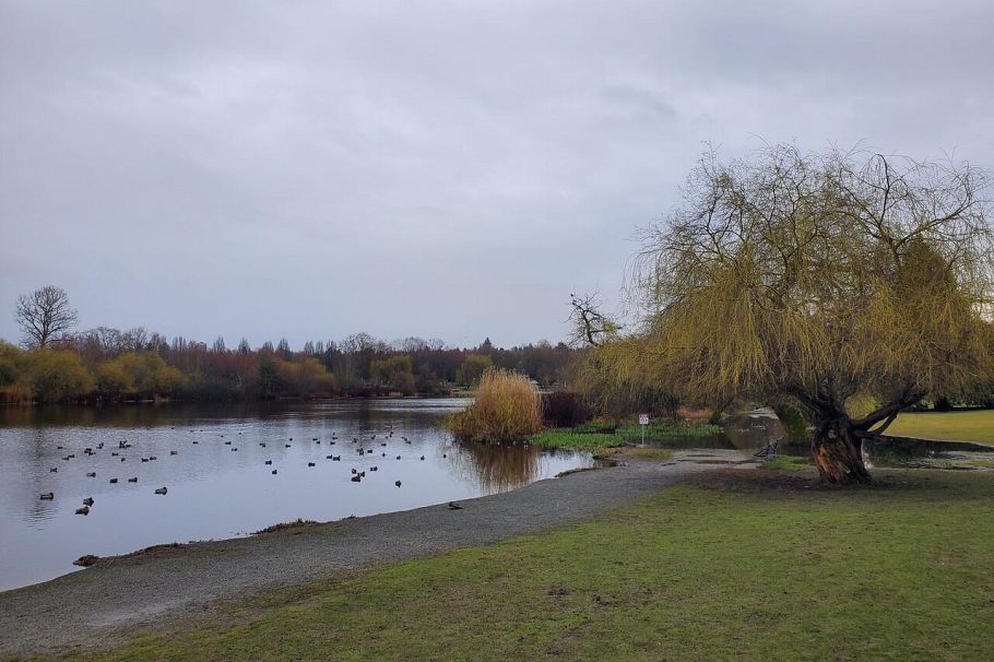 2935 Victoria Drive Vancouver, BC - 29