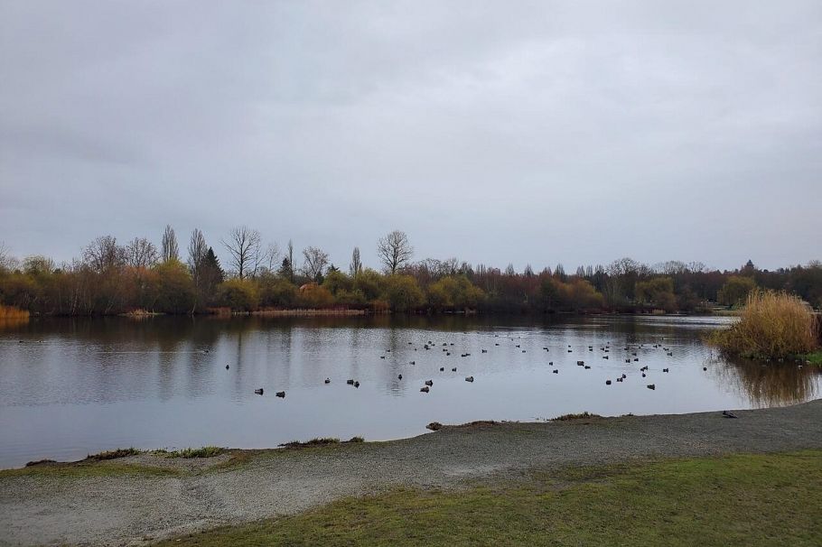 2935 Victoria Drive Vancouver, BC - 28