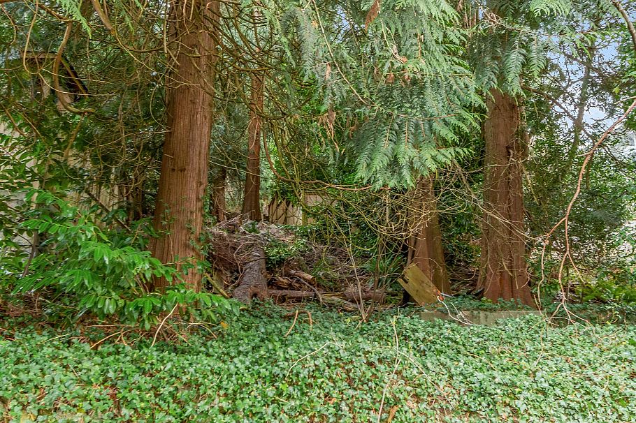 1928 Ridgeway Avenue North Vancouver, BC - 24