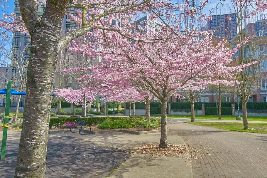 318 3638 Vanness Avenue Vancouver, BC - 20