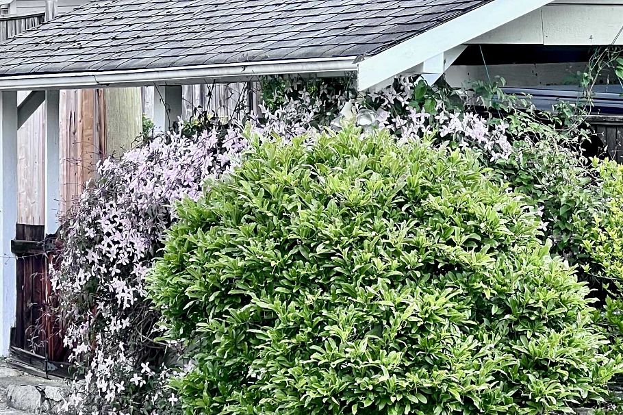 462 W 26th Street North Vancouver, BC - 39