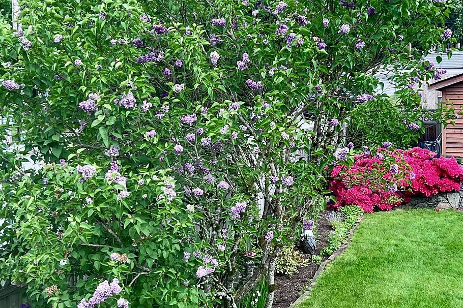 462 W 26th Street North Vancouver, BC - 37