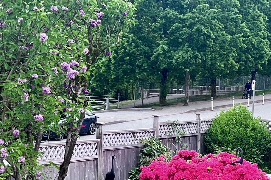 462 W 26th Street North Vancouver, BC - 38