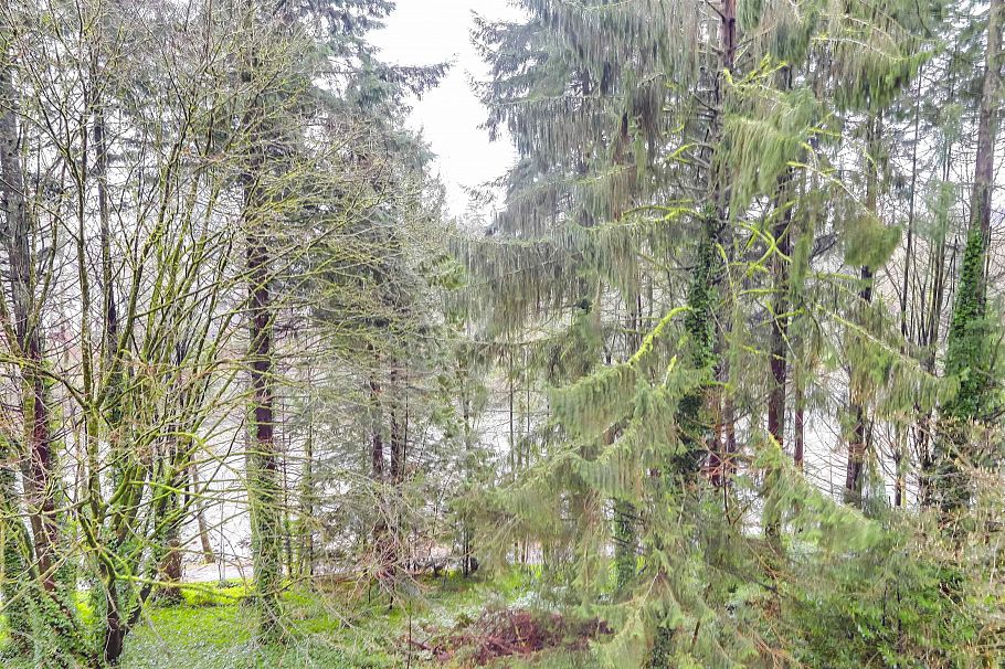 402 2024 Fullerton Avenue North Vancouver, BC - 1