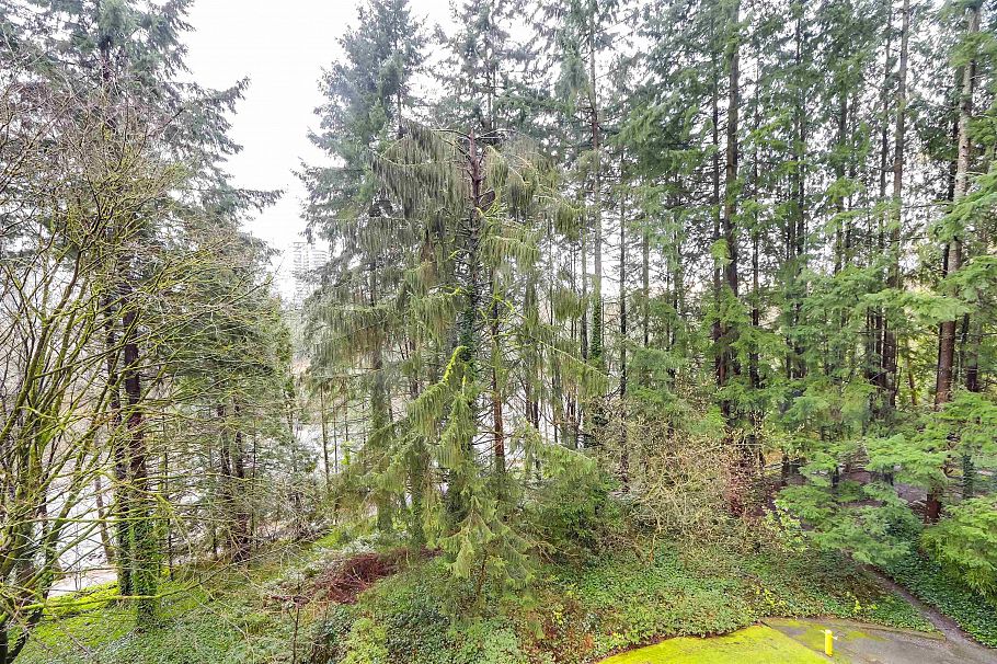 402 2024 Fullerton Avenue North Vancouver, BC - 2