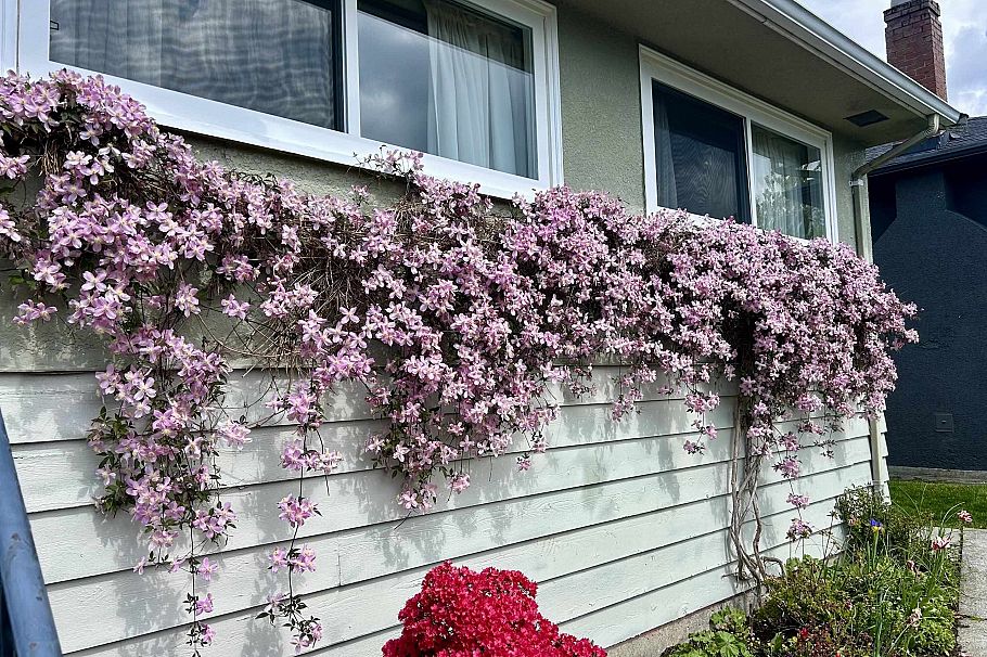 462 W 26th Street North Vancouver, BC - 5