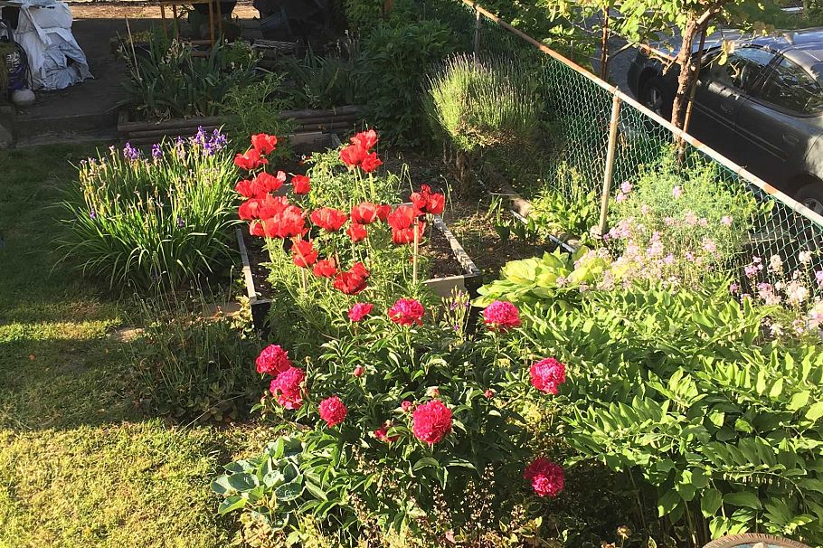 2867 E Georgia Street Vancouver, BC - 36