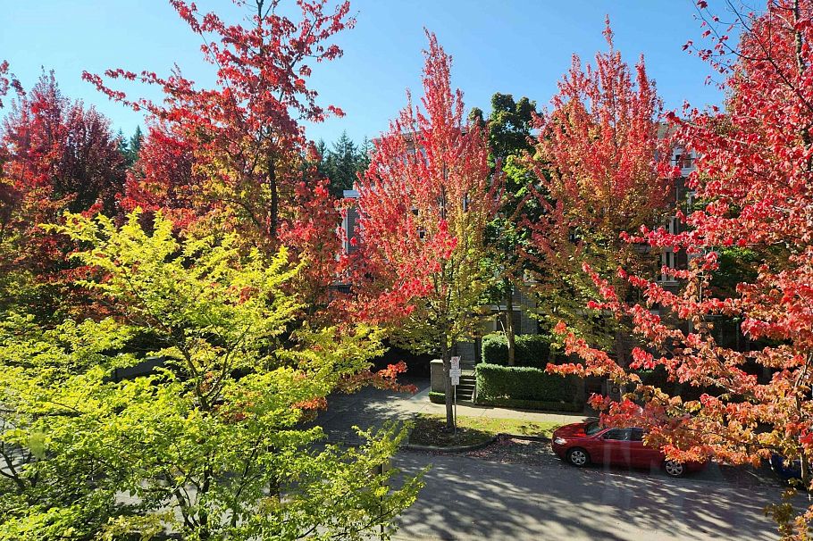 202 6268 Eagles Drive Vancouver, BC - 9