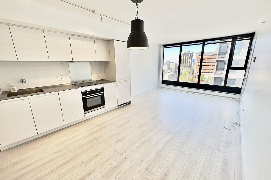 1608 1133 Hornby Street Vancouver, BC - 4