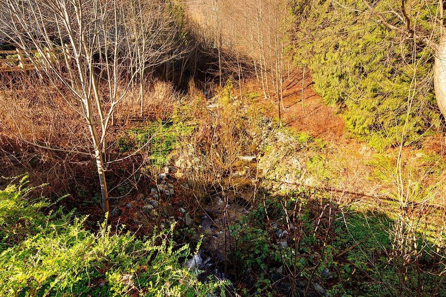 207 3825 Cates Landing Way North Vancouver, BC - 29