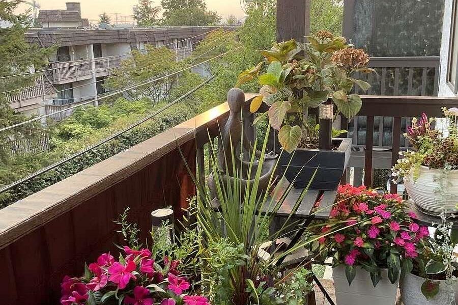 203 211 W 3rd Street North Vancouver, BC - 14