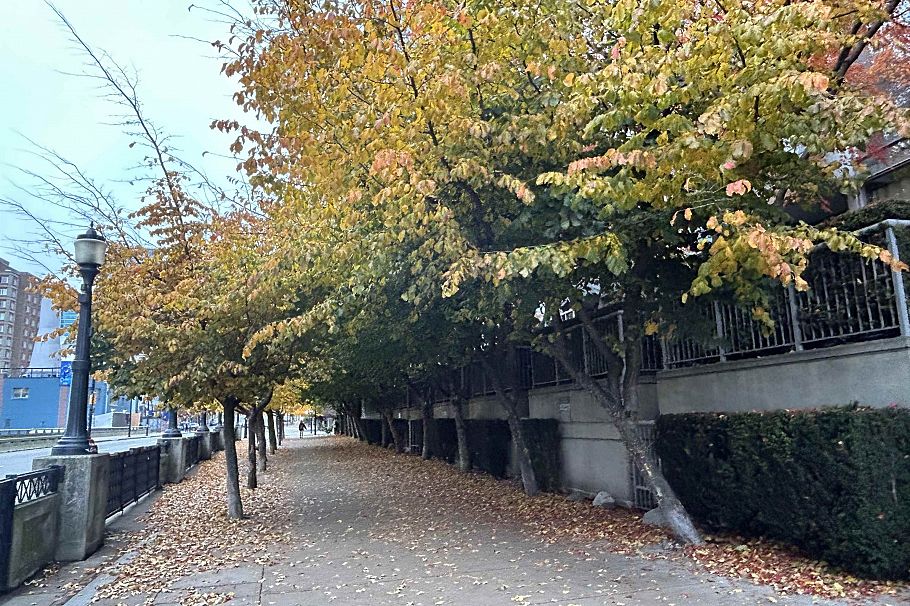 717 161 W Georgia Street Vancouver, BC - 26