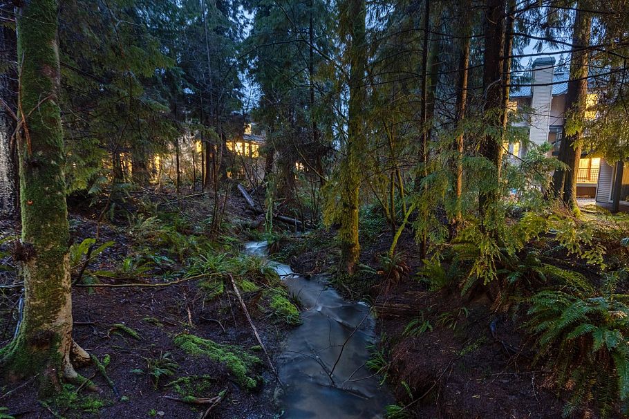 1188 Strathaven Drive North Vancouver, BC - 32