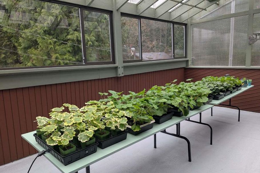 1498 Chamberlain Drive North Vancouver, BC - 32