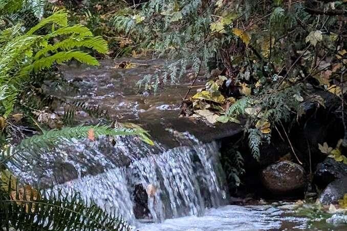 1498 Chamberlain Drive North Vancouver, BC - 39