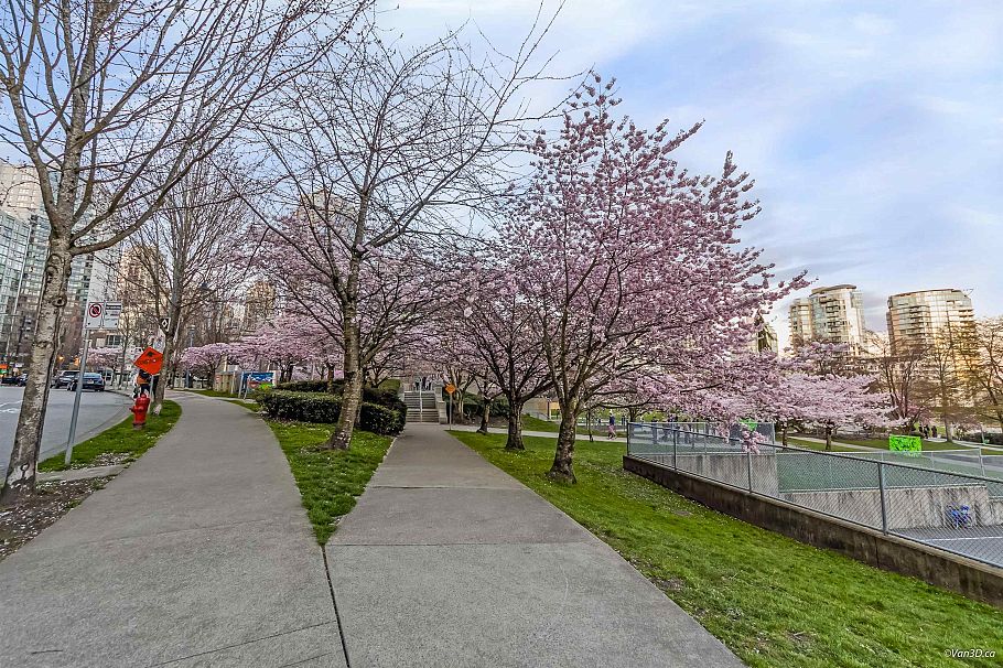 606 455 Beach Crescent Vancouver, BC - 37