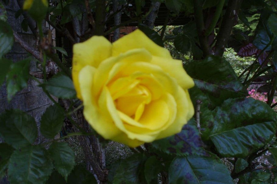 1498 Chamberlain Drive North Vancouver, BC - 30