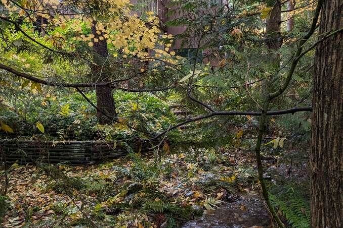 1498 Chamberlain Drive North Vancouver, BC - 38