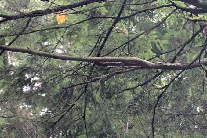 1498 Chamberlain Drive North Vancouver, BC - 36