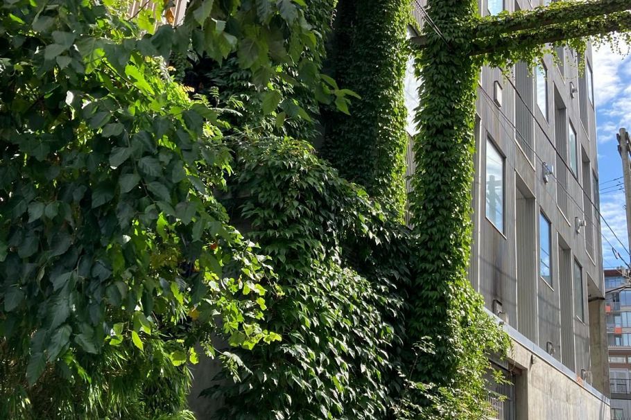 203 234 E 5th Avenue Vancouver, BC - 38