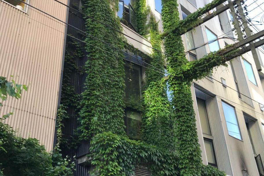 203 234 E 5th Avenue Vancouver, BC - 5