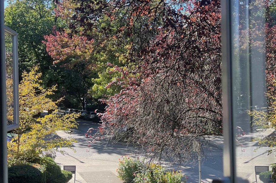 210 1050 Jervis Street Vancouver, BC - 13