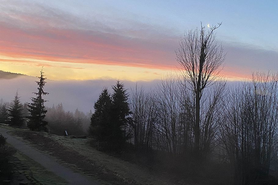 301 560 Raven Woods Drive North Vancouver, BC - 32