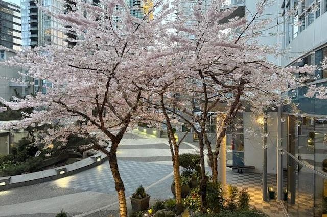 TH20 1281 W Cordova Street Vancouver, BC - 35