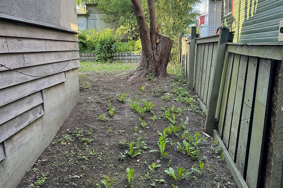 2511 Upland Drive Vancouver, BC - 5