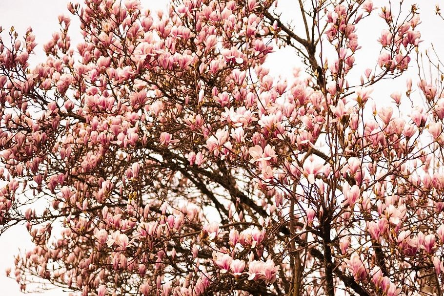 3110 W 3 Avenue Vancouver, BC - 38