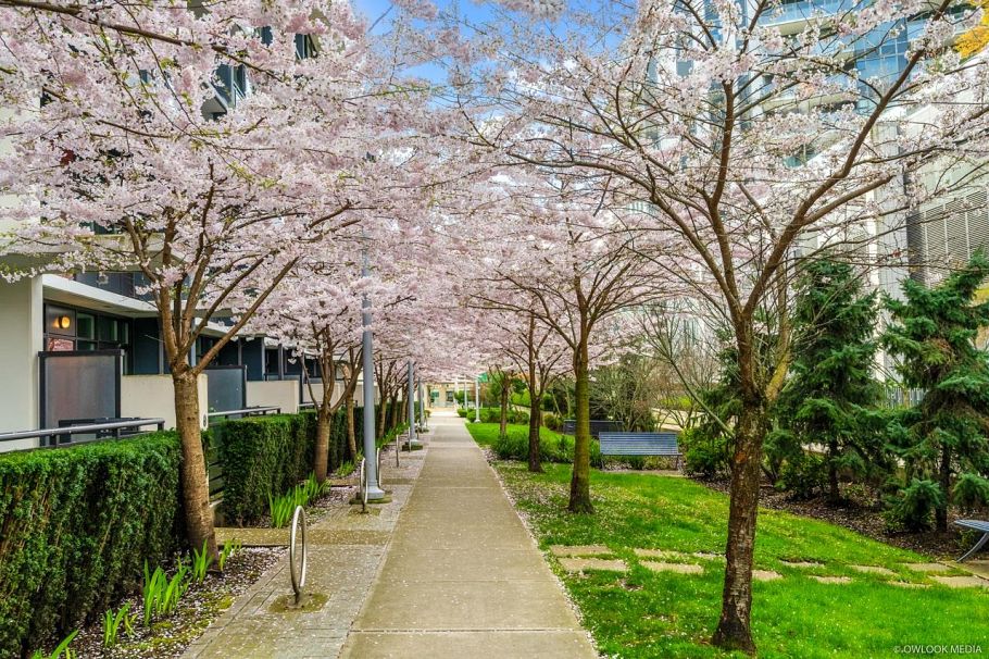 42 8628 Hazelbridge Way Richmond, BC - 3