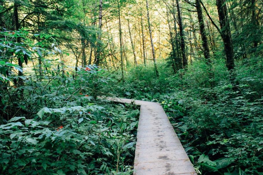 875 Porteau Place North Vancouver, BC - 30