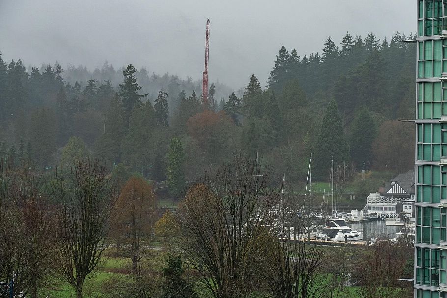 803 1723 Alberni Street Vancouver, BC - 22