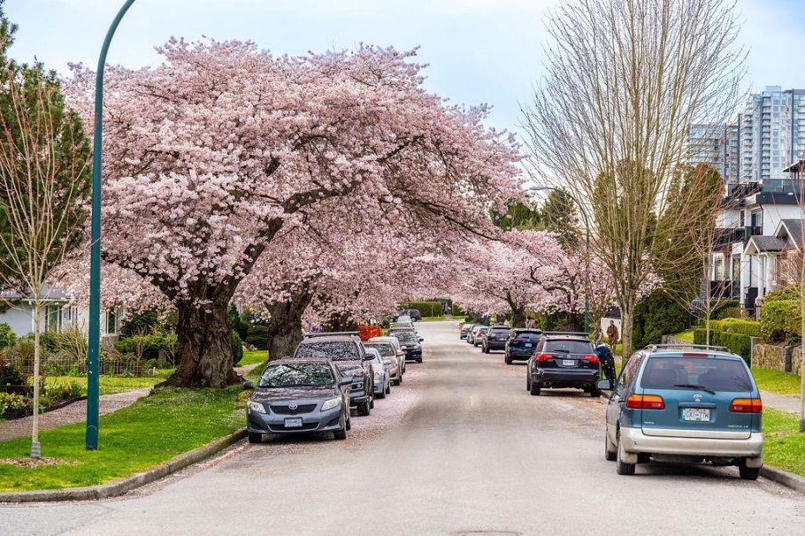 36 E 60th Avenue Vancouver, BC - 18