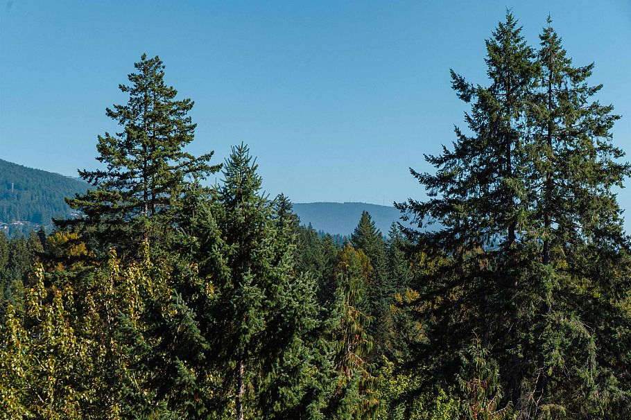 1404 2008 Fullerton Avenue North Vancouver, BC - 39