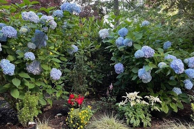 102 736 W 14th Avenue Vancouver, BC - 37