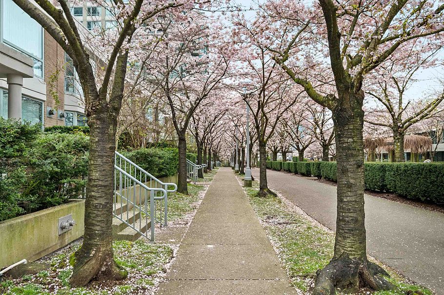 TH4 1889 Rosser Avenue Burnaby, BC - 2