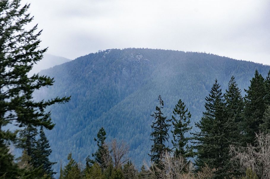 401 1629 Garden Avenue North Vancouver, BC - 20