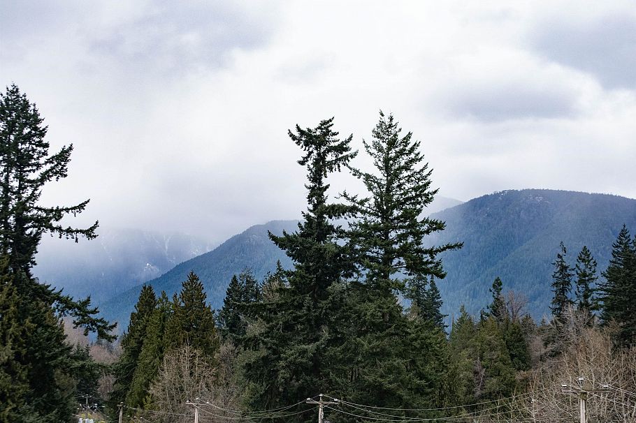 401 1629 Garden Avenue North Vancouver, BC - 19