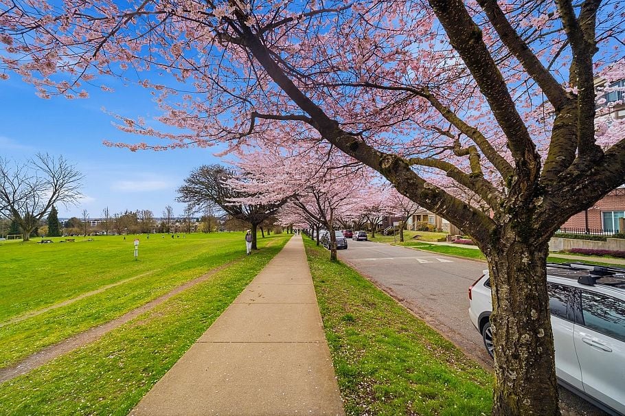 103 7638 Cambie Street Vancouver, BC - 19