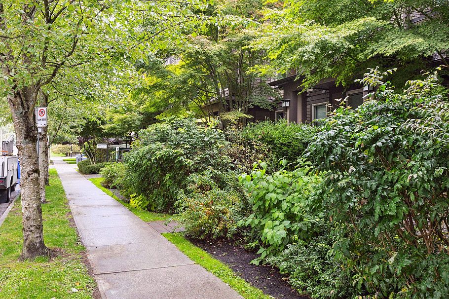 206 1468 St. Andrews Avenue North Vancouver, BC - 20