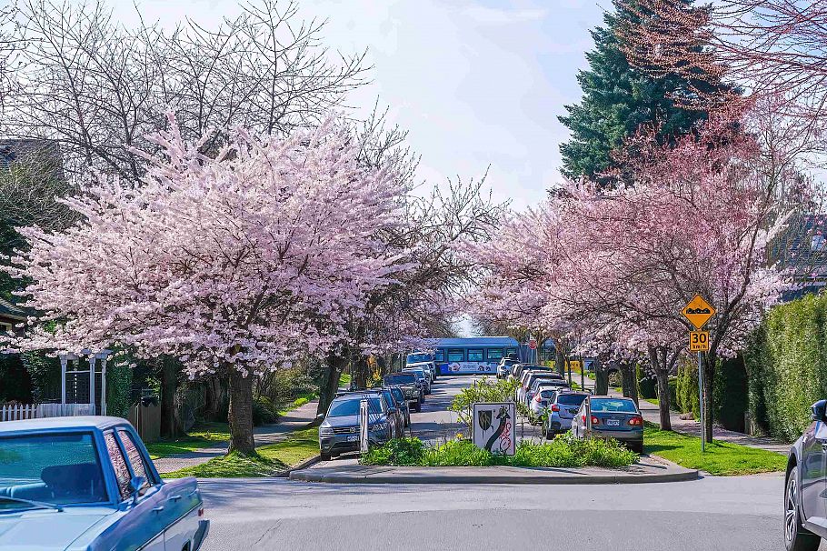 826 E 13th Avenue Vancouver, BC - 3