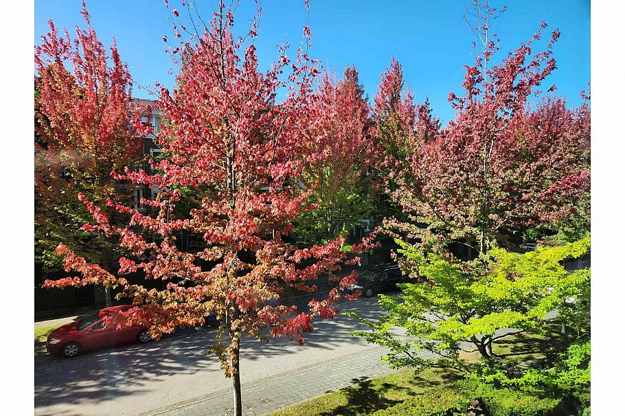 202 6268 Eagles Drive Vancouver, BC - 9