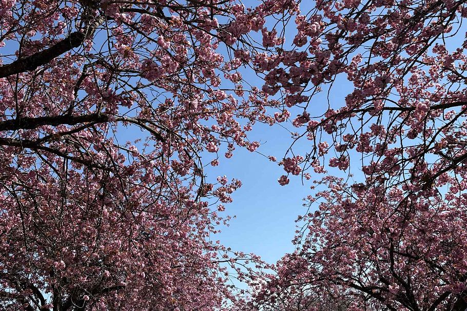 2972 E 7th Avenue Vancouver, BC - 24