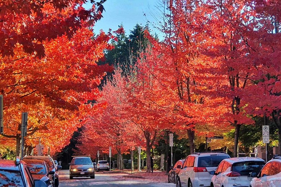 202 6268 Eagles Drive Vancouver, BC - 36