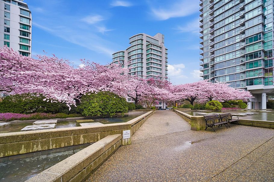 1602 1863 Alberni Street Vancouver, BC - 29