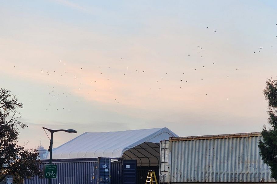 409 774 GREAT NORTHREN WAY, Vancouver BC V5T 1E1 Vancouver, BC - 6