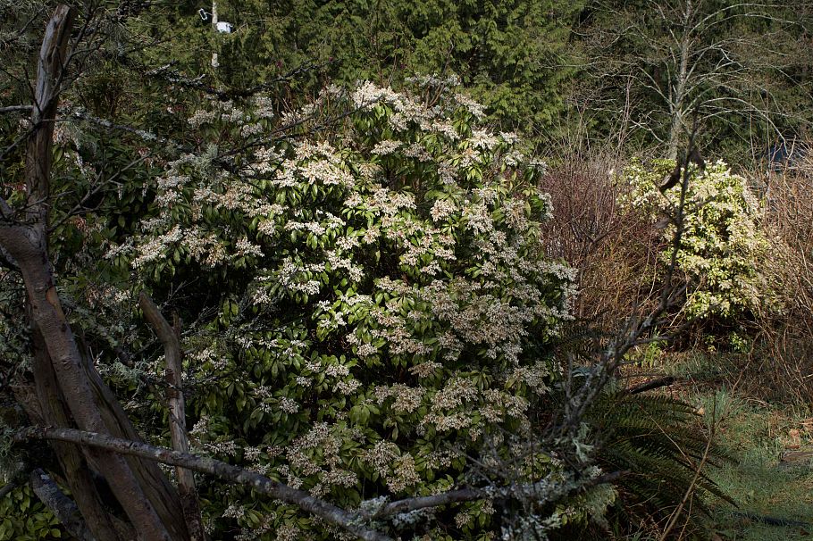 26 Brighton Beach North Vancouver, BC - 23