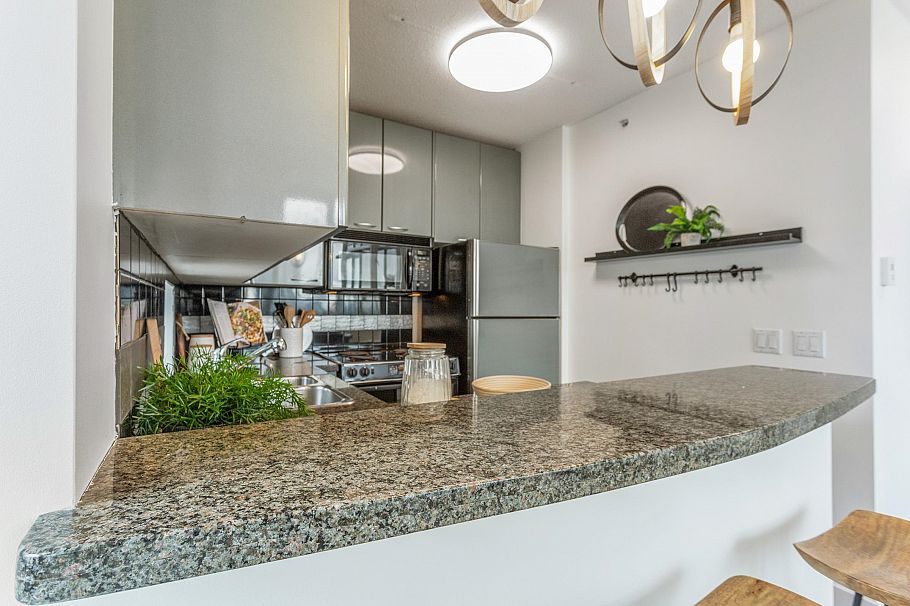 3005 1068 Hornby Street Vancouver, BC - 9